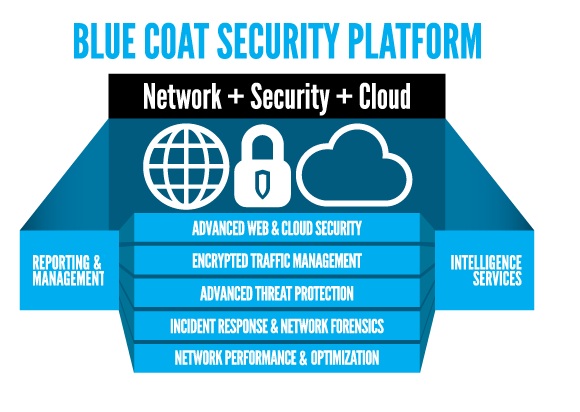 Licencias OnLine y Blue Coat fortalecen el ciclo de negocios a través de la preventa